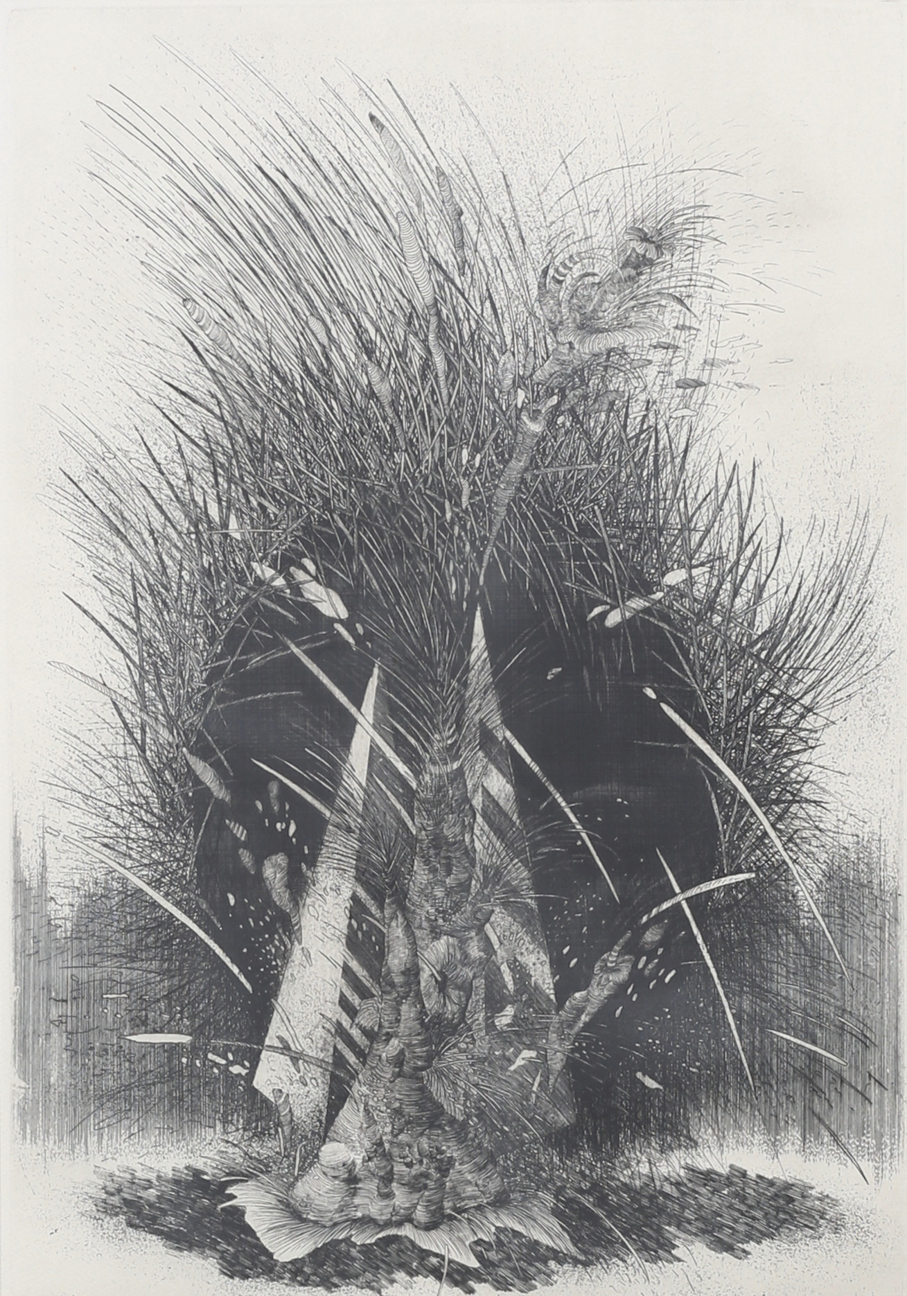 OIDENTIFIERAD KONSTNÄR. "The third pyramide", etsning, signerad, daterad 88.
