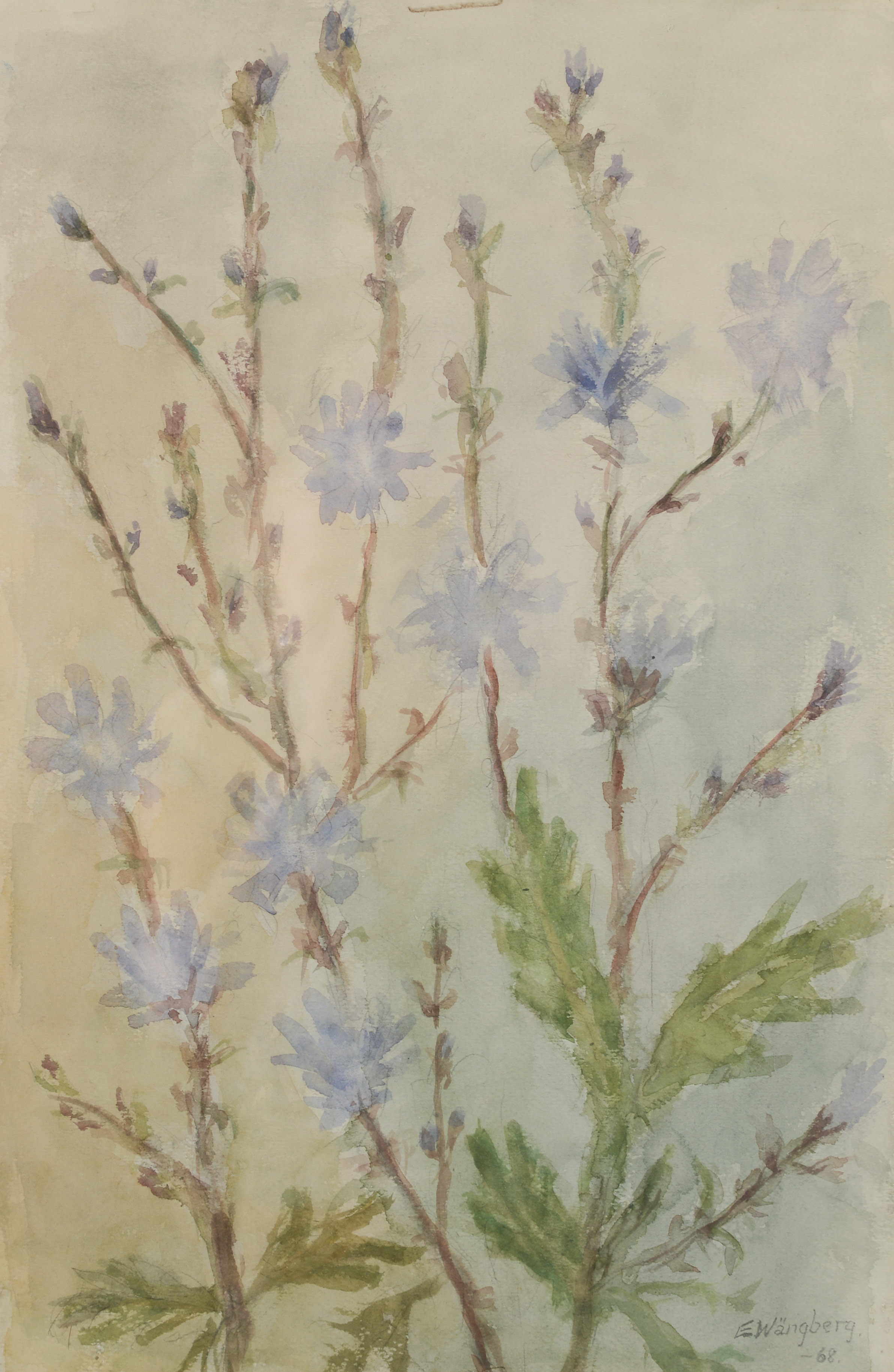 ELLEN WÄNGBERG. Blomstermotiv, akvarell, signerad, daterad -68.