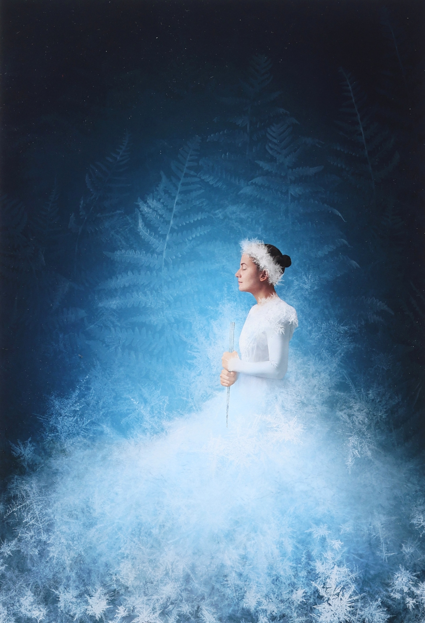 SONJA HESSLOW. Fotokonst, "Fyra årstider", numrerad 181/190, signerad.