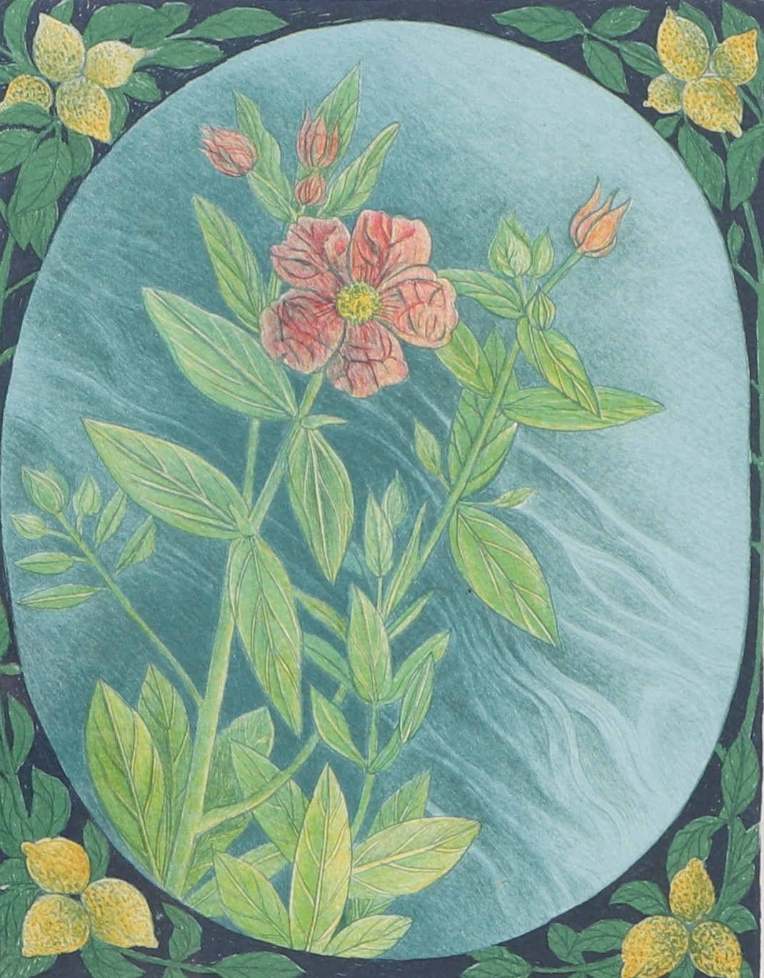 MARIA HILLFON. Färglitografi, blomsterkomposition, numrerad 145/250, signerad.