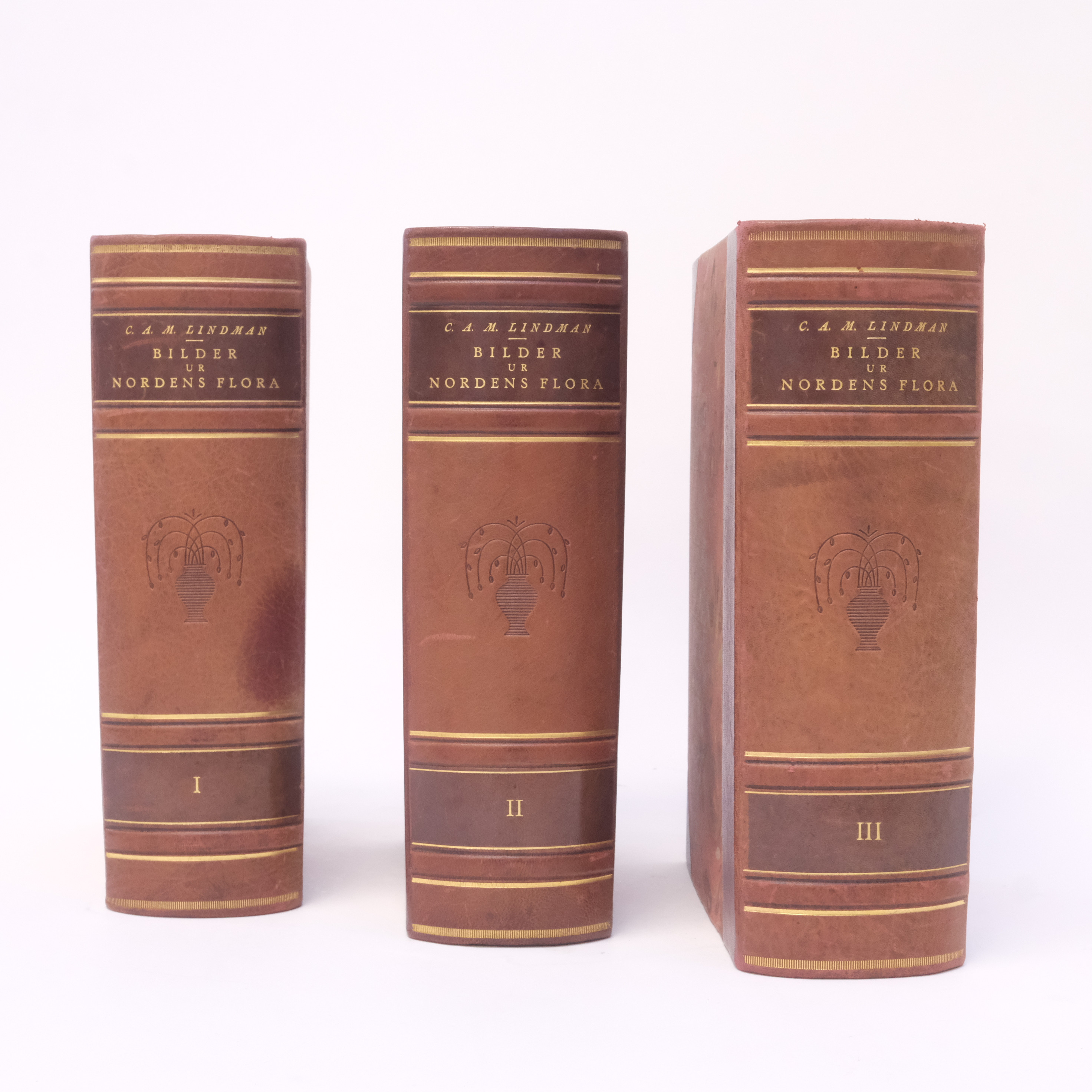 C.A.M. LINDMAN, "BILDER UR NORDENS FLORA", I-III, TRE BAND.