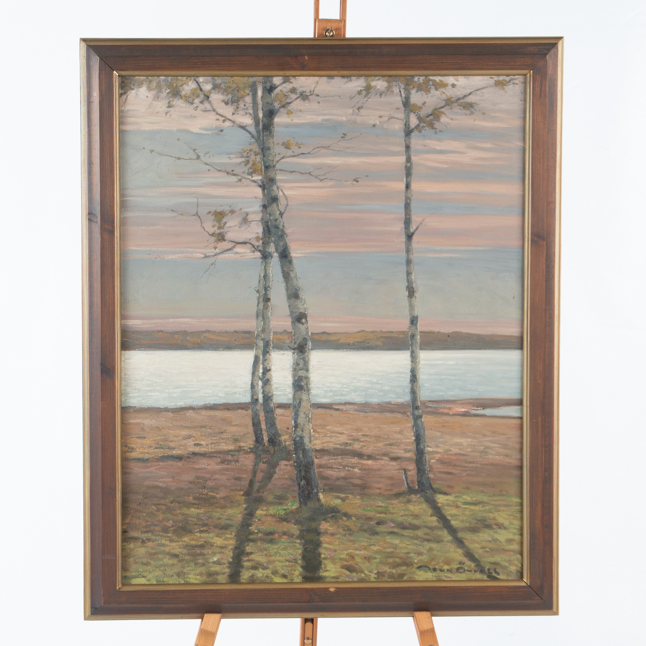 JOHN ÖHWALL. (1883-1957). Oljemålning på duk, kustlandskap med björkar i aftonljus.