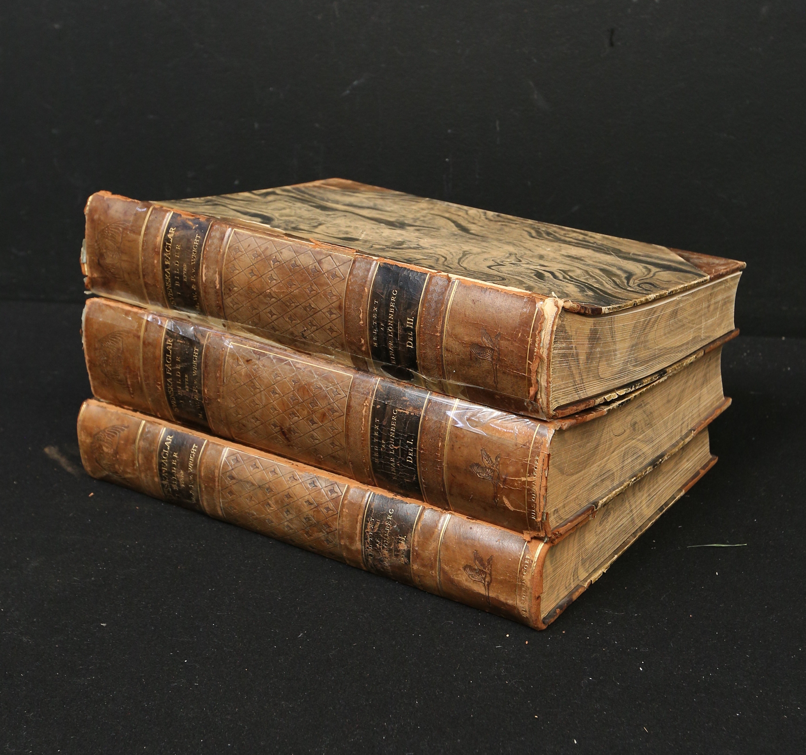 BÖCKER, 3 st, del 1-3, "Svenska Fåglar", M., W. och F. von Wright, text av Einar Lönnberg. Föraget Svenska Fåglar, Stockholm, tryckta av A. Börtzells Tryckeri, 1929.
