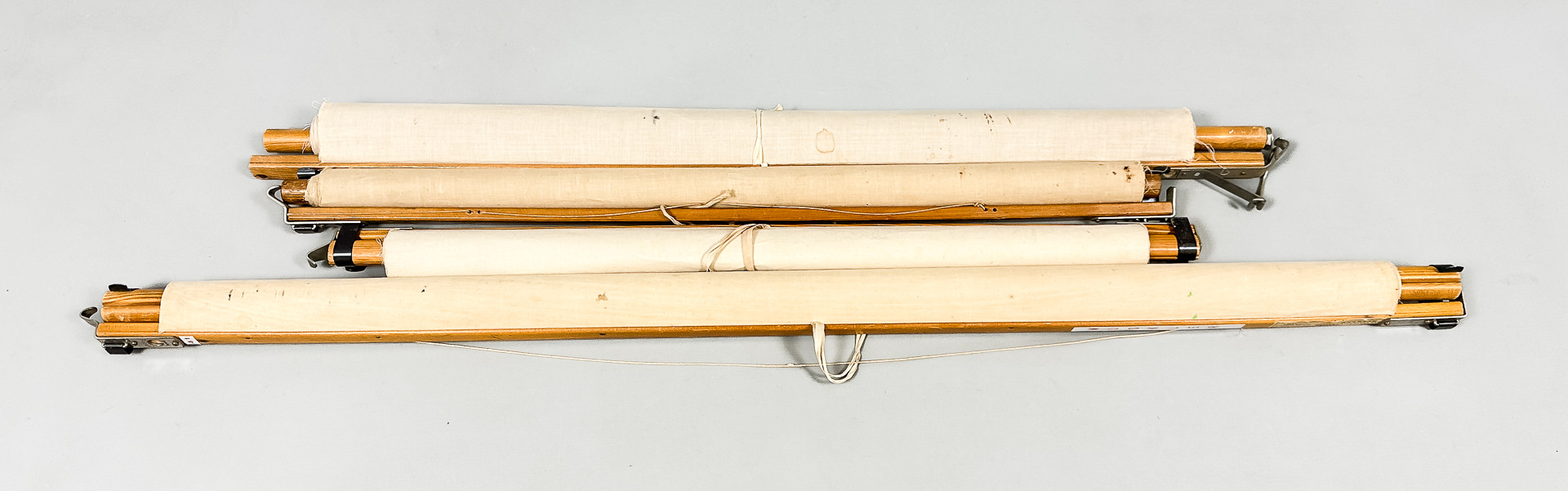 ANATOMISKA AFFISCHER, 4 st, 1900-tal.