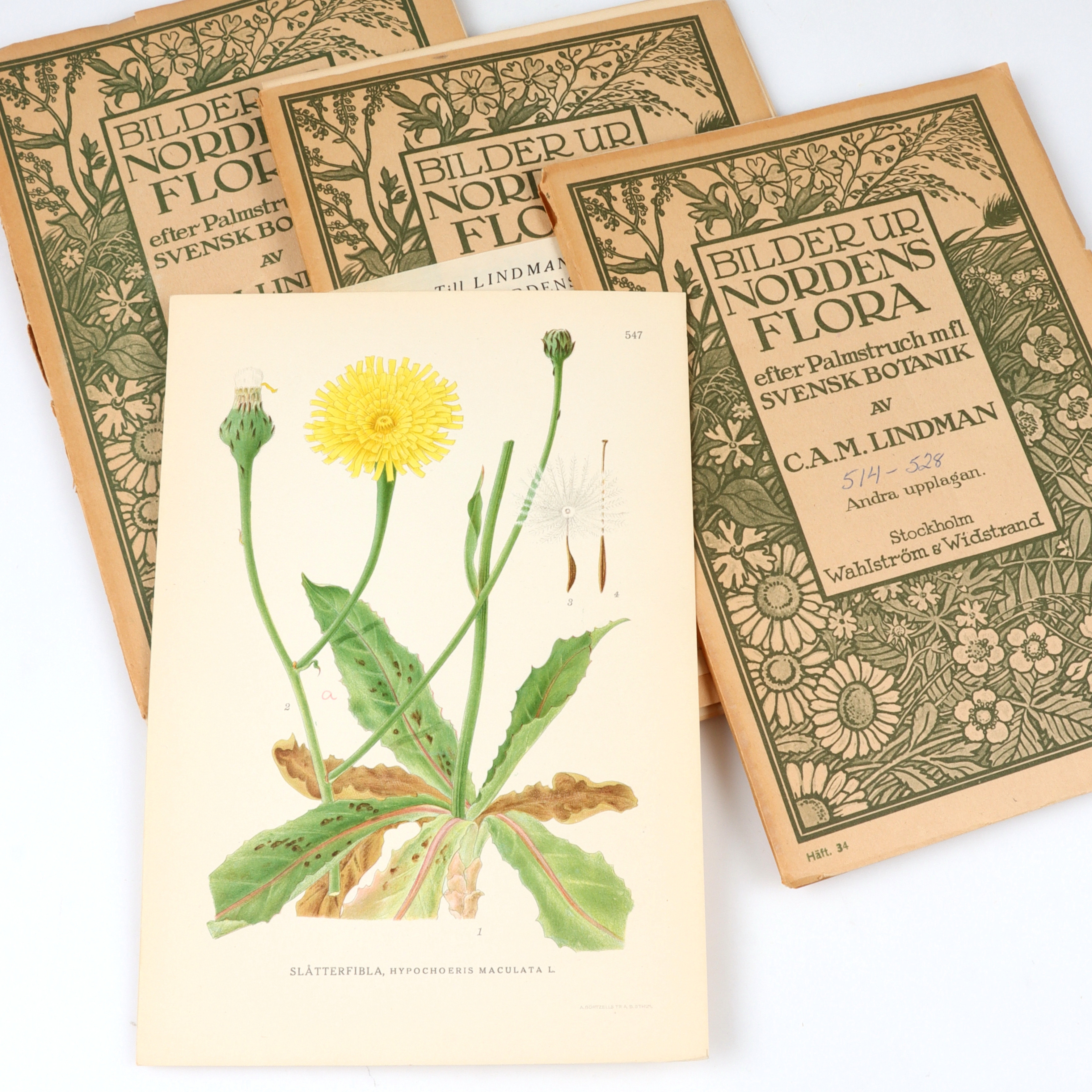 C.A.M LINDMAN. "Bilder ur Nordens Flora". Häften med litografiska tryck. 1900-talets första hälft.
