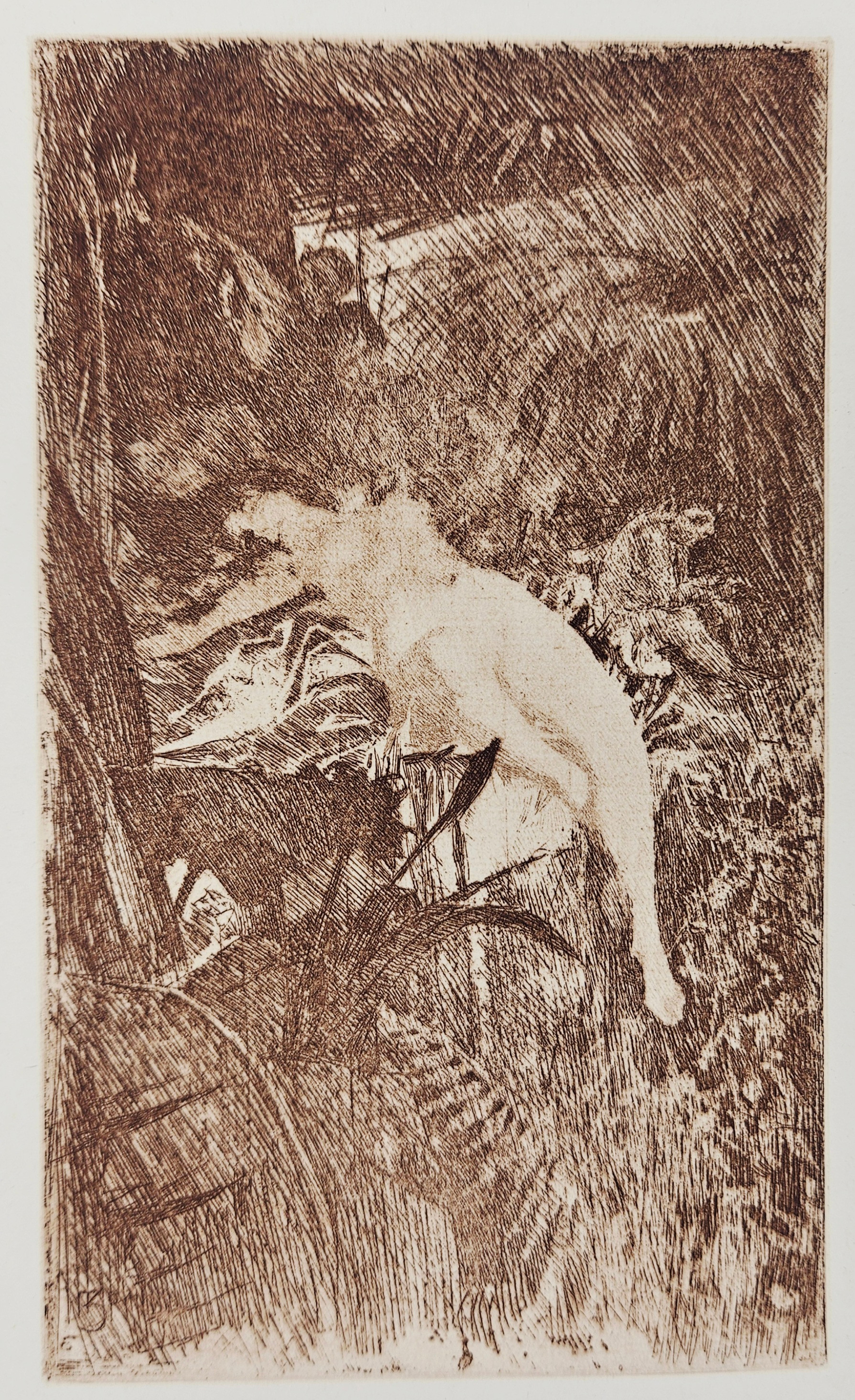 ANDERS ZORN. EFTER. "Reve D àmour". Etsning, signerad i plåten.