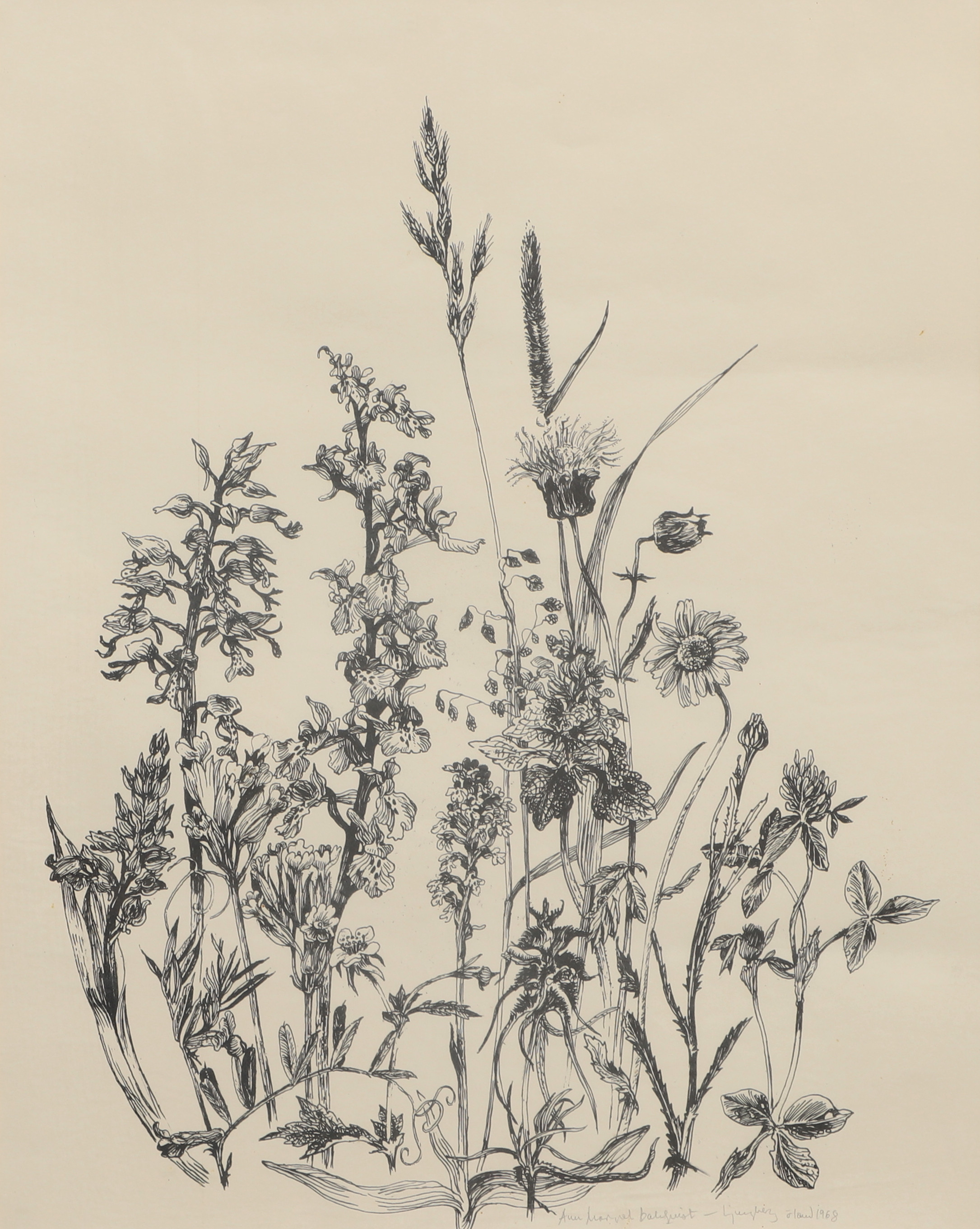 ANN MARGRET DAHLQVIST LJUNGBERG. litografi, blomsterkomposition, Ljungby Öland 1968, signerad.