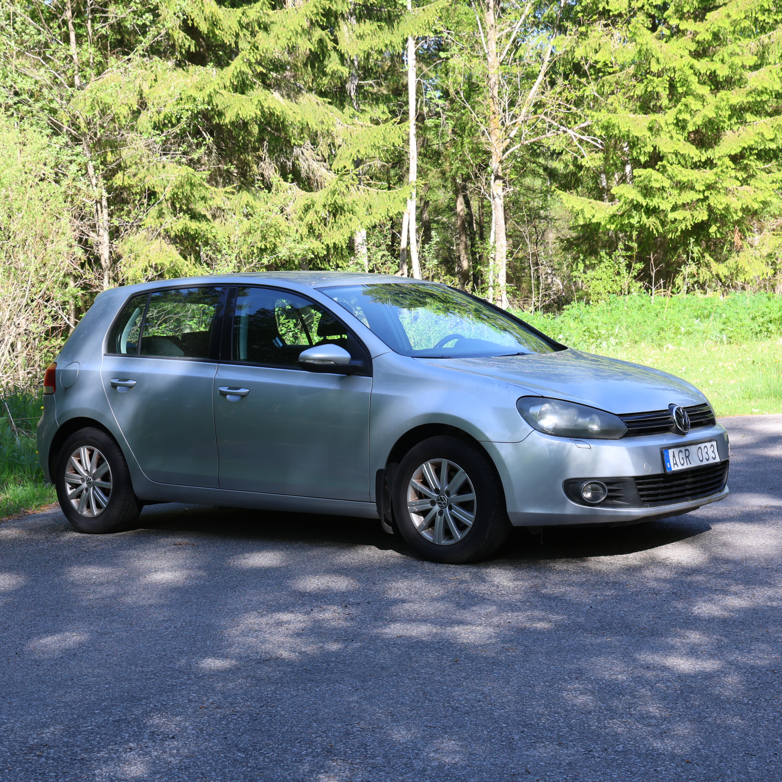 VW GOLF 1,6 MULTIFUEL, MANUELL -10 EJ EXPORT.