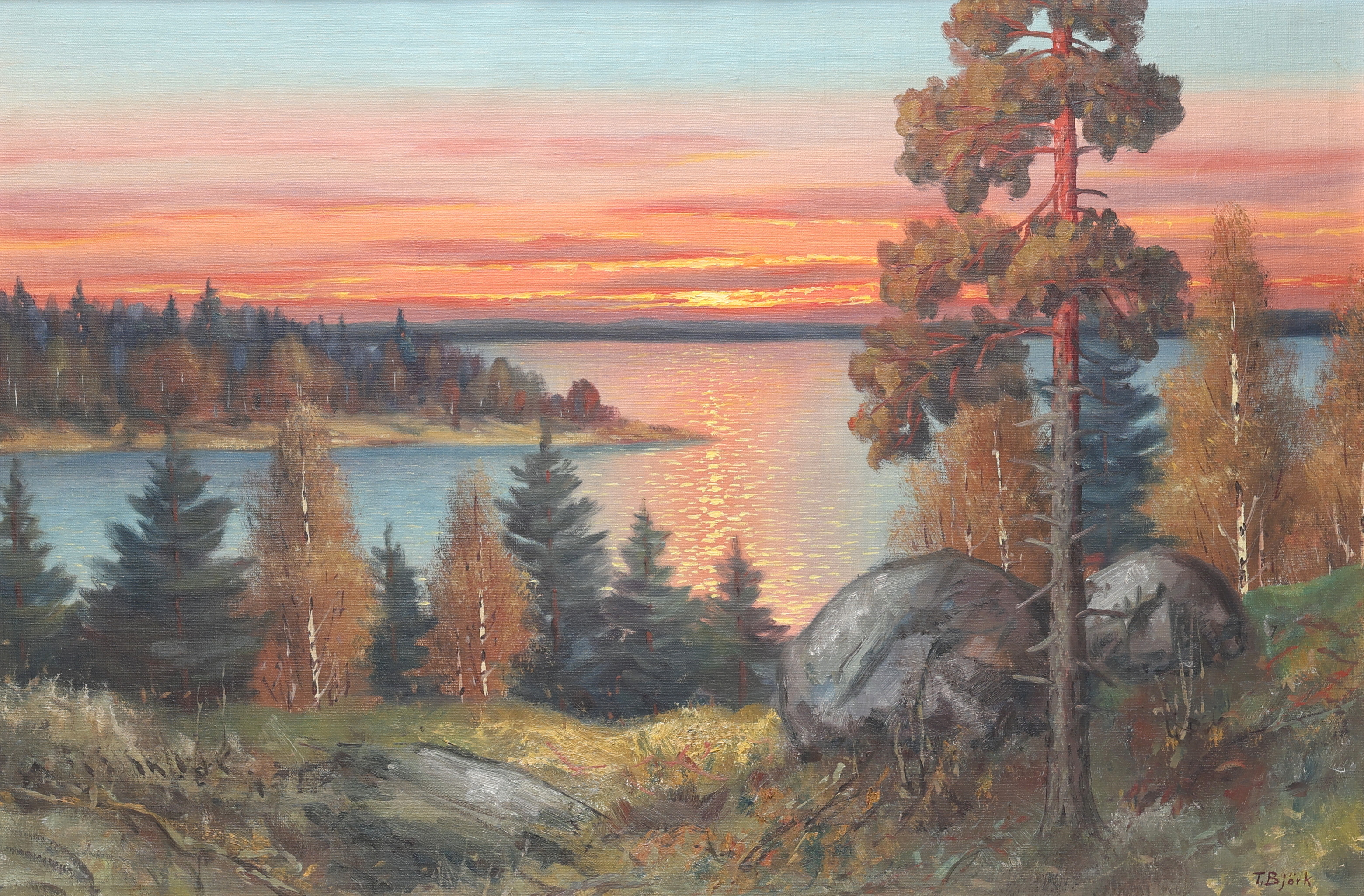 TAGE BJÖRK. Olja på duk, skogslandskap, signerad.
