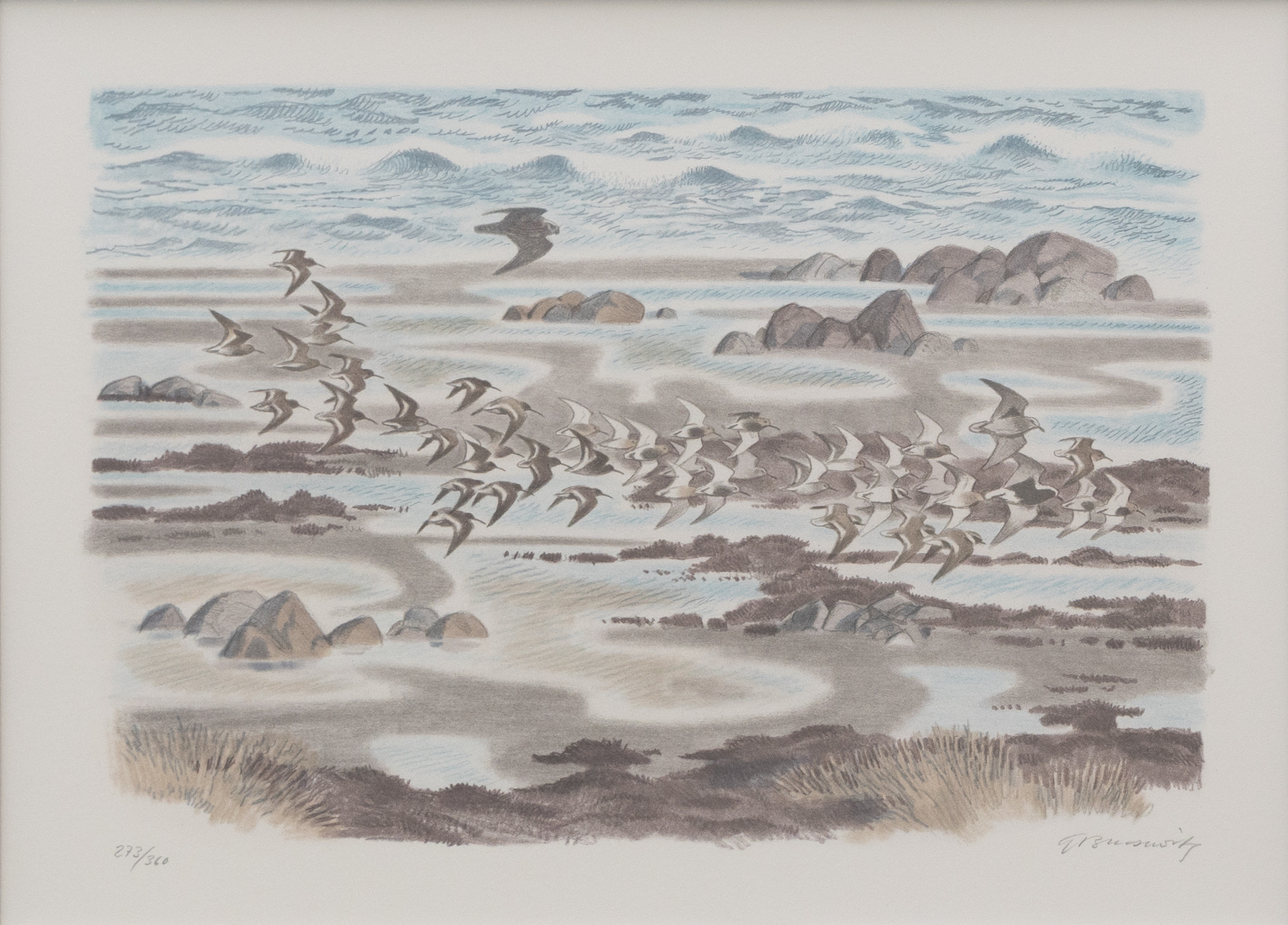 GUNNAR BRUSEWITZ. Flyttfåglar, litografi nr 273/360, signerad.