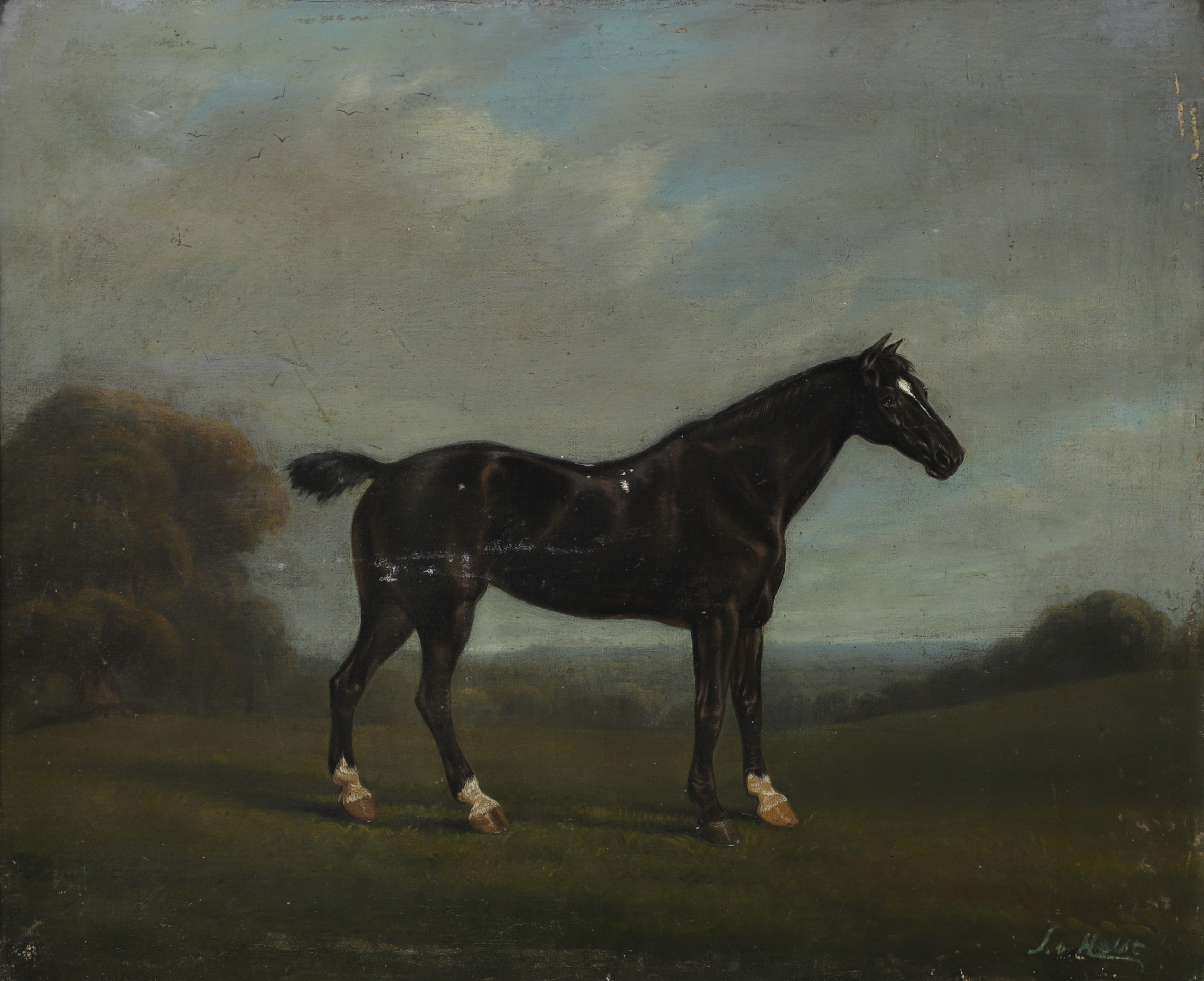 JOHAN GUSTAF VON HOLST. Häst, olja på duk, signerad.