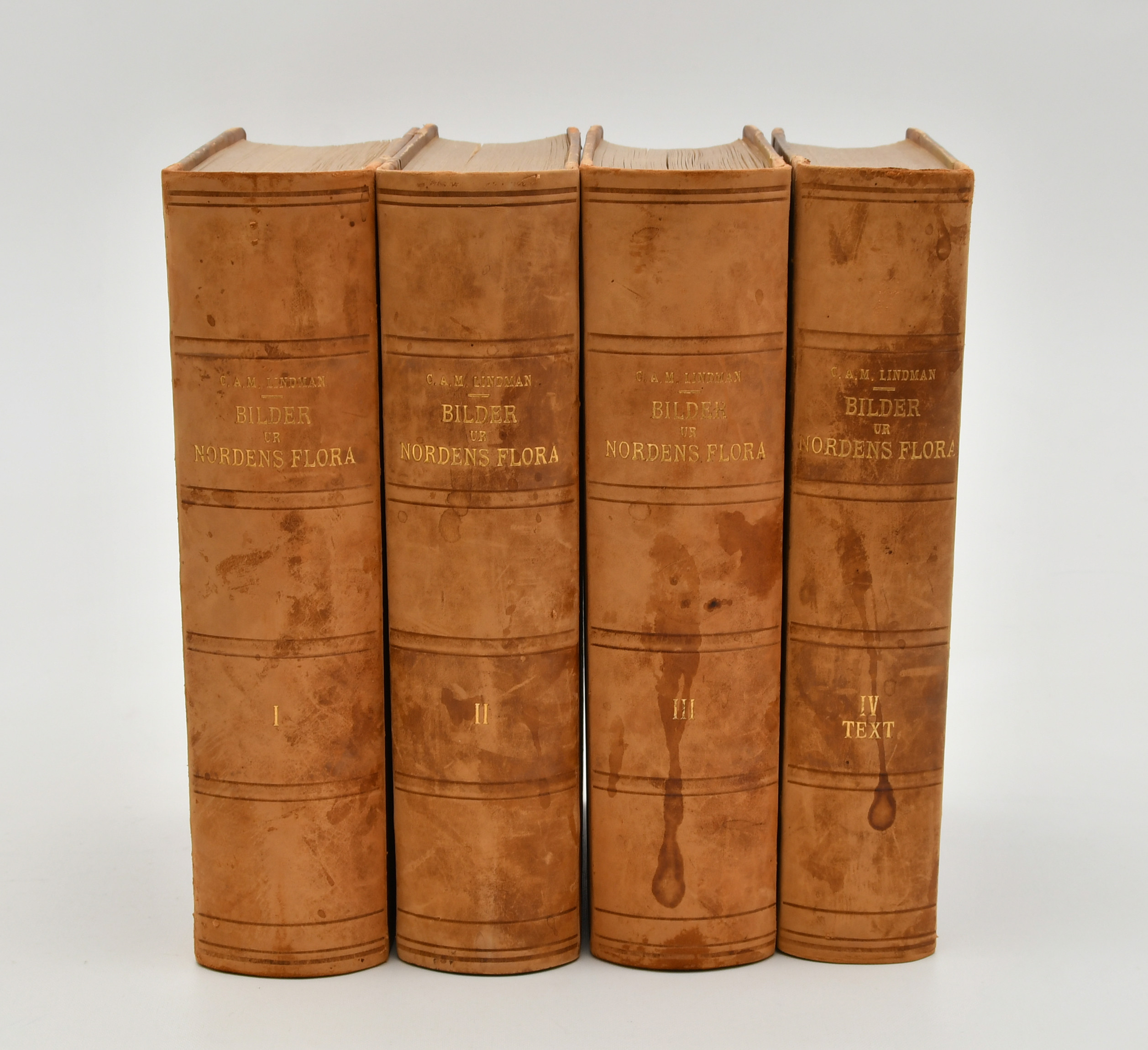 C. A. M. LINDMAN. Bilder ur Nordens flora 1-4. 1922-26.