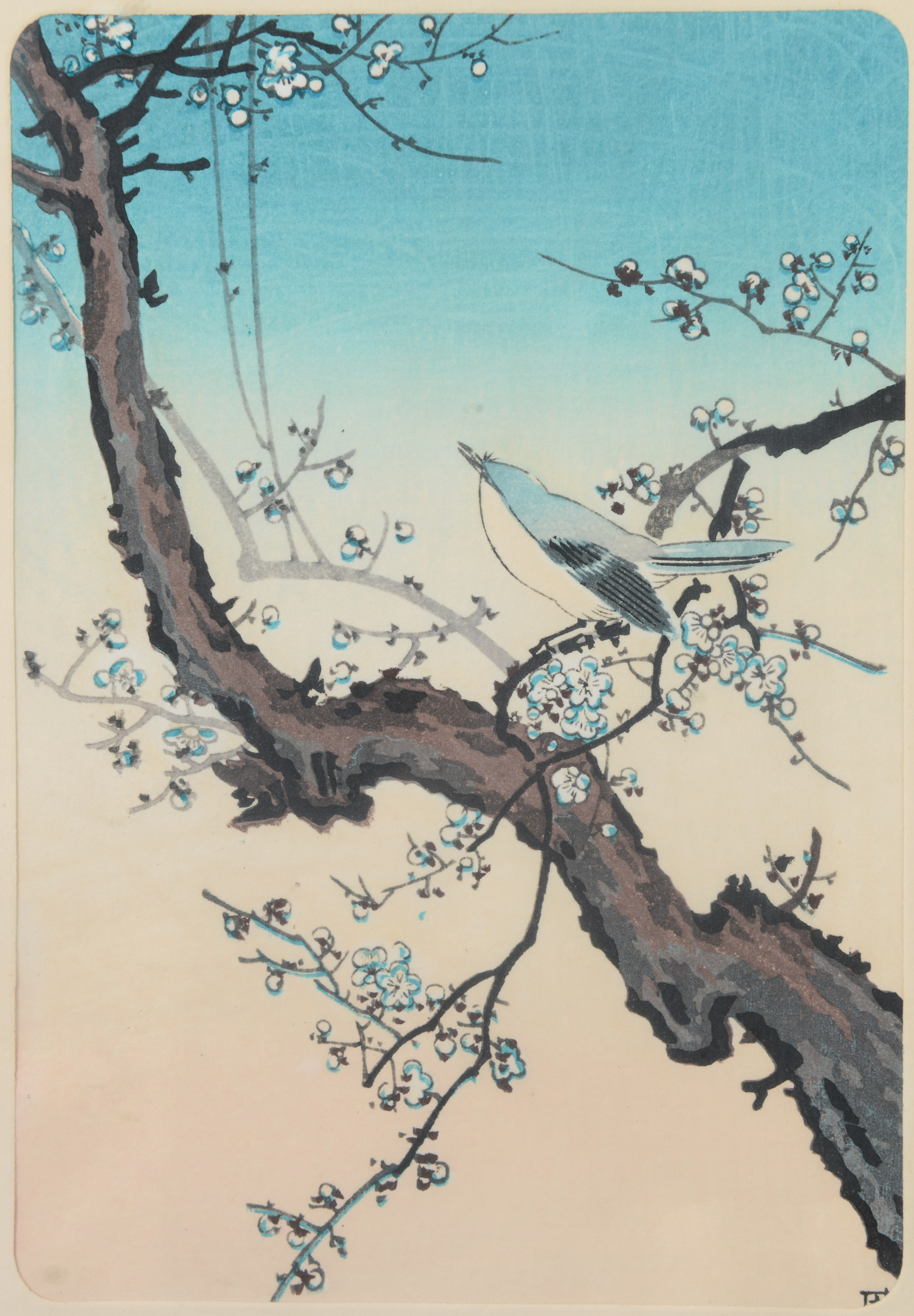 TSUCHIYA KOITSU. "Bush Warbler", grafiskt blad, Japan.