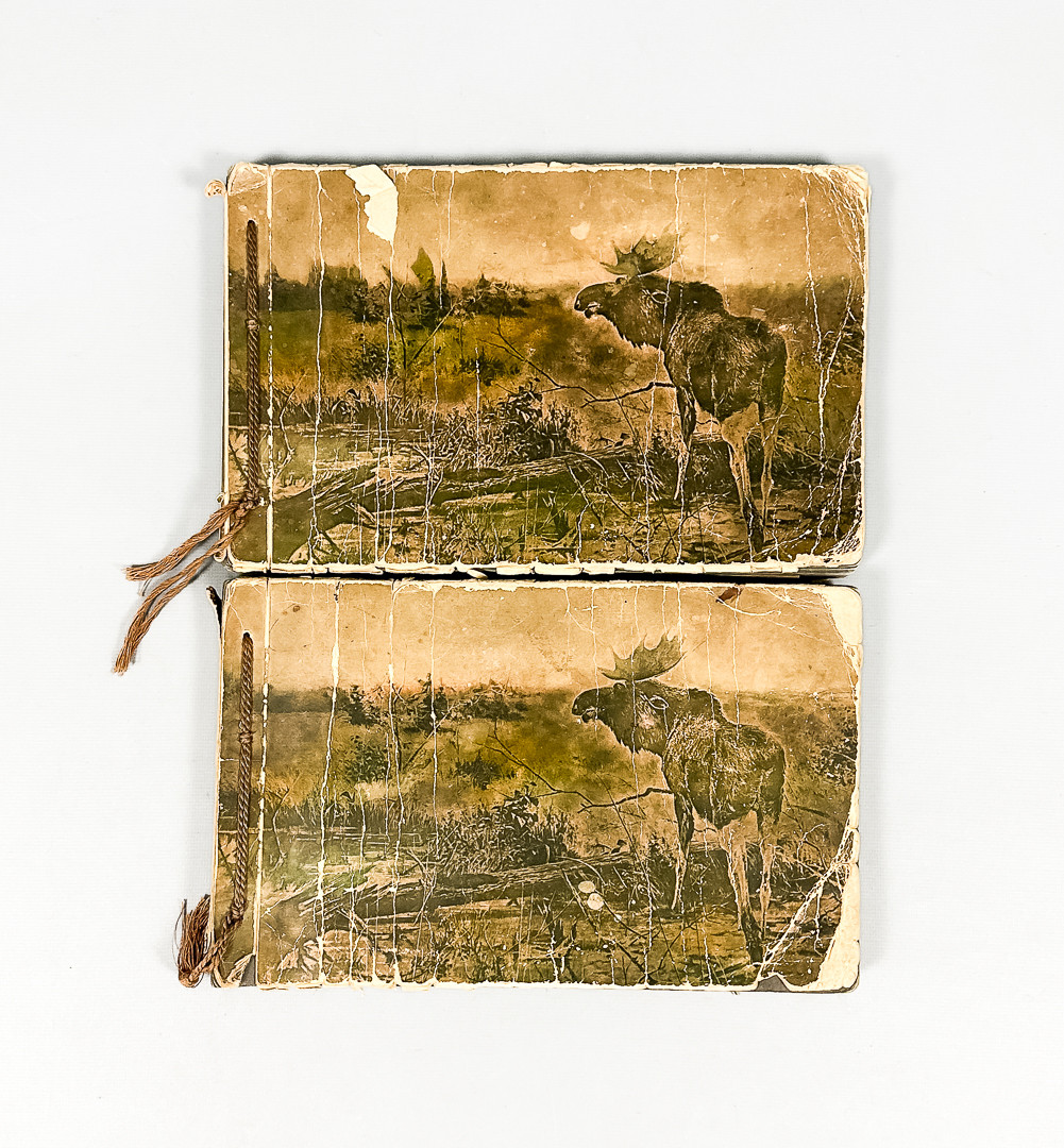 VYKORTSALBUM, 2 st, 1900-tal.
